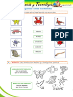 28b_ Identificamos invertebrados