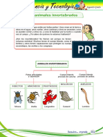 28a - Animales Invertebrados