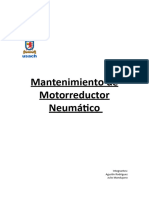 Informe M. Neumatico