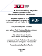 S.ingunza J.recuay A.rosales Programa Especial Titulacion Titulo Profesional 2021