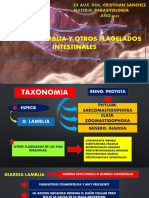 Giardia Lamblia y Otros Flagelados Intestinales