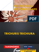 Trichuris Trichiura-Enterobius Vermicularis