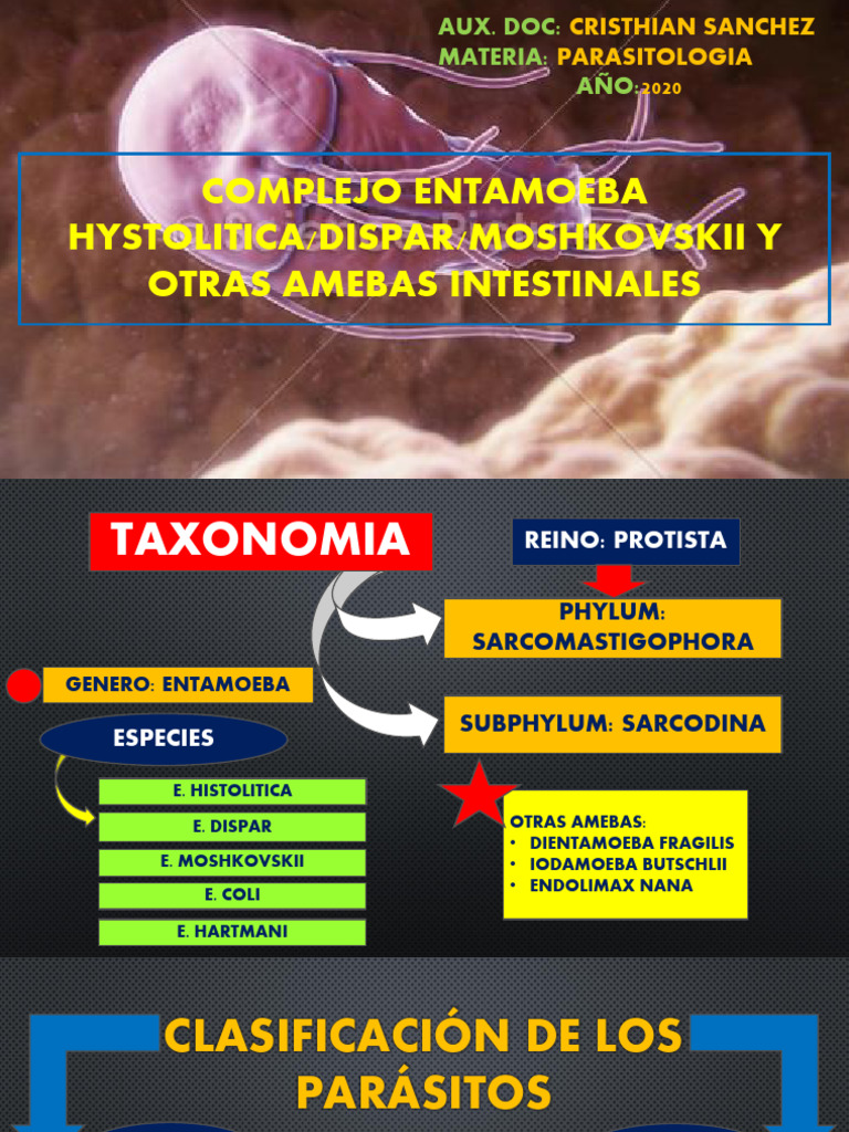 Complejo Entamoeba Histolytica y Dispar | PDF | Colitis ulcerosa ...
