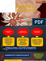 Diagnostico Parasitologico