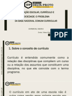 SLIDES DO PROFESSOR (1)