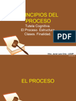 Principios Del Proceso, Tutela Cognitiva