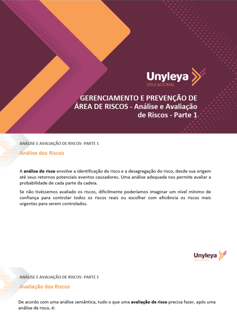 Análise e Avaliação de Riscos | PDF