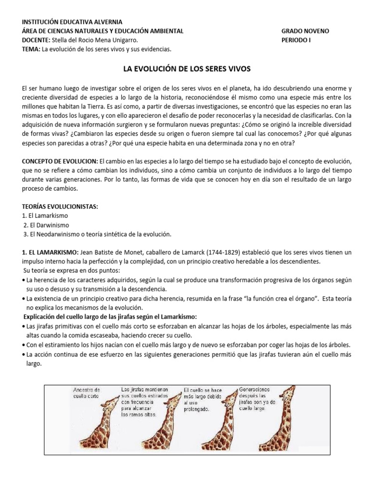 Neodarwinismo y evolución de especies | PDF | Evolución | Seleccion natural