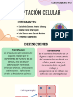 PATOLOGÍA_CUESTIONARIO 2