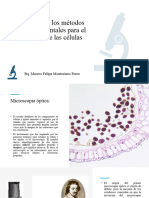 Describir Los Métodos Experimentales para El Estudio de Las Células