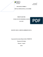 Mapa Mental Sistema Penal Acusatorio Cesar