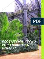 Ecosistema Hecho Por La Mano Del Hombre