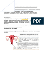 6° Básico Ciencias Naturales Guía 16 Catalina Bahamondes