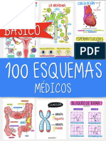 100 Esquemas Médicos