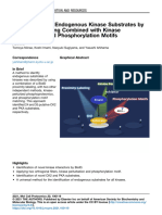 Kinase Sub PDL Proteomics2021