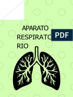 Aparato Respiratorio 317884 Downloadable 2638550