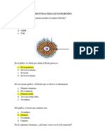 Preguntas Tema Ciclo Femenino