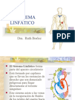 Sistema Linfático