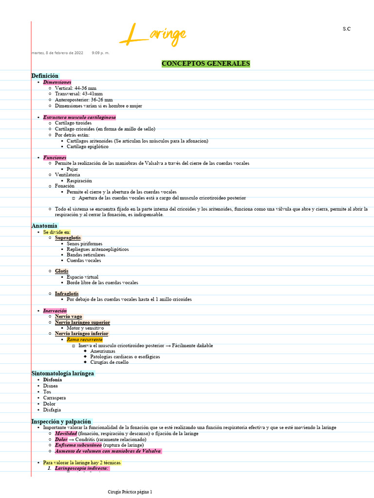 Laringe Pdf Laringe Sistema Respiratorio