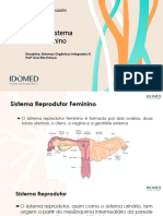 Embriologia Do Sistema Reprodutor Feminino: Disciplina: Sistemas Orgânicos Integrados III Prof Ana Rita França
