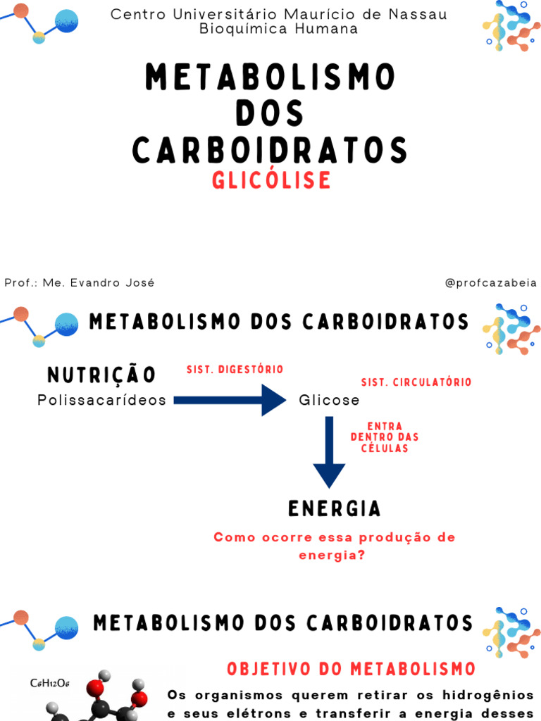 Metabolismo Dos Carboidratos - Glicólise | PDF | Glicolise | Respiração ...