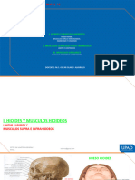 Ant S11 Musc Linguales, Hioideos y Cervicales