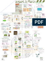 Transport in Plants - Micronotes by Seep Pahuja