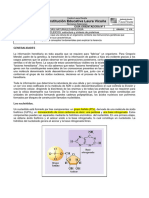 Guía Orientadora # 1 Biología 9º