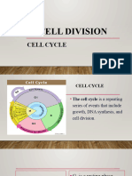 Cell Division