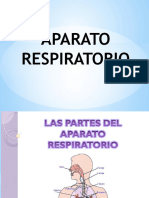 Aparato Respiratorio Macro y Micro (1)