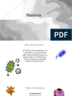 Bacterias