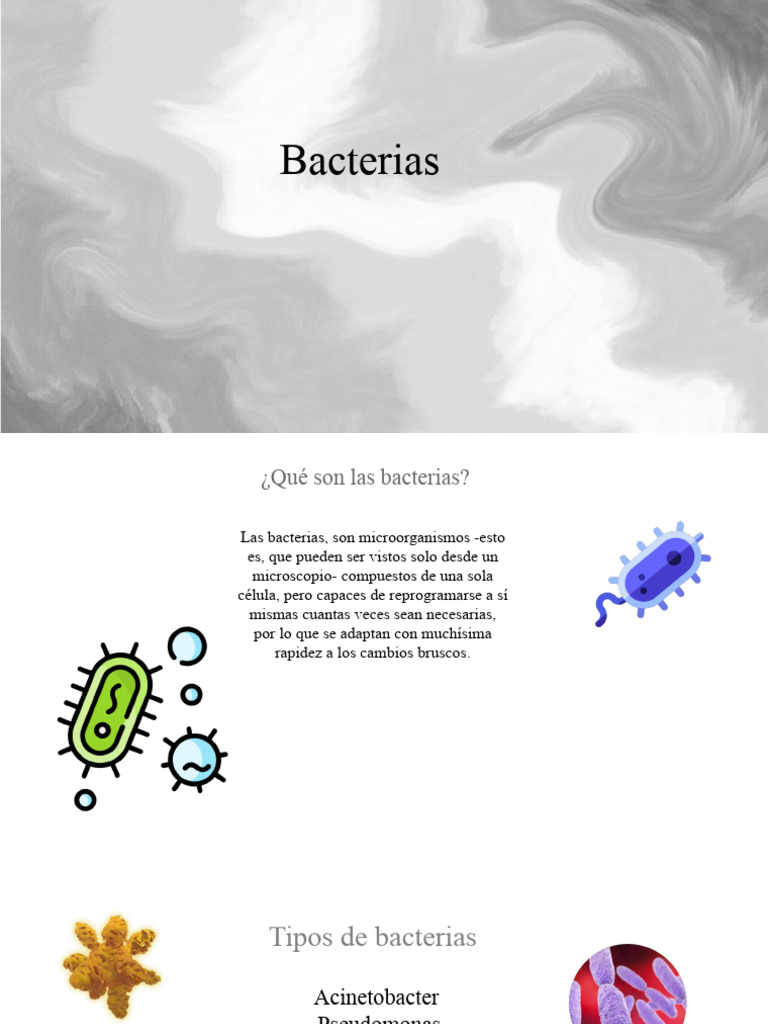 Tipos de Bacterias y su Impacto en la Salud | PDF | Microbiología ...