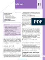 Neuroanatomia Clinica y Neurociencia Fitzgerald - Booksmedicos - Org 2