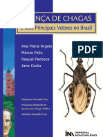 Doença De Chagas E Seus Principais Vetores No Brasil