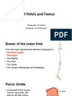 Osteology of Pelvis and Femur - Final
