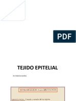 tejido epitelial