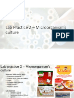 Practice 2 - Microorganism's culture