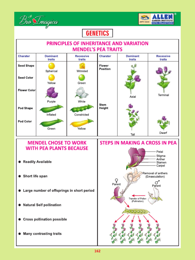 Genetics For Quick Revision | PDF