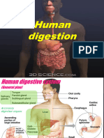 Presentation 05 Human Digestion 1 (1)