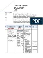 3 - Program Tahunan (PROTA)