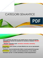 Categorii Semantice 1
