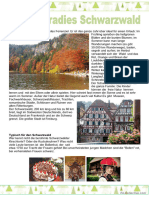 Einfache Texte - Ferienparadies Schwarzwald