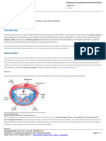 CAPÍTULO 21_ Desarrollo del sistema nervioso_ vesículas cerebrales