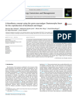 A biorefinery concept using the green macroalgae