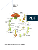 Biologia (Posible Respuestad de Un Modelo de Examen)