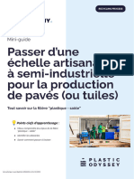 MINI GUIDE Passer D Une Echelle Artisanale A Semi Industrielle Pour La Production de Paves