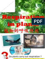 Bio Jr Ppt - Plant Respiration 植物呼吸 2022