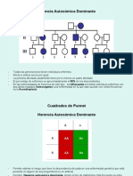 Clase Heredograma-Pedigri