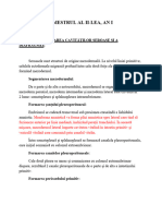 ANATOMIE-CURS-AN-I-SEM-II