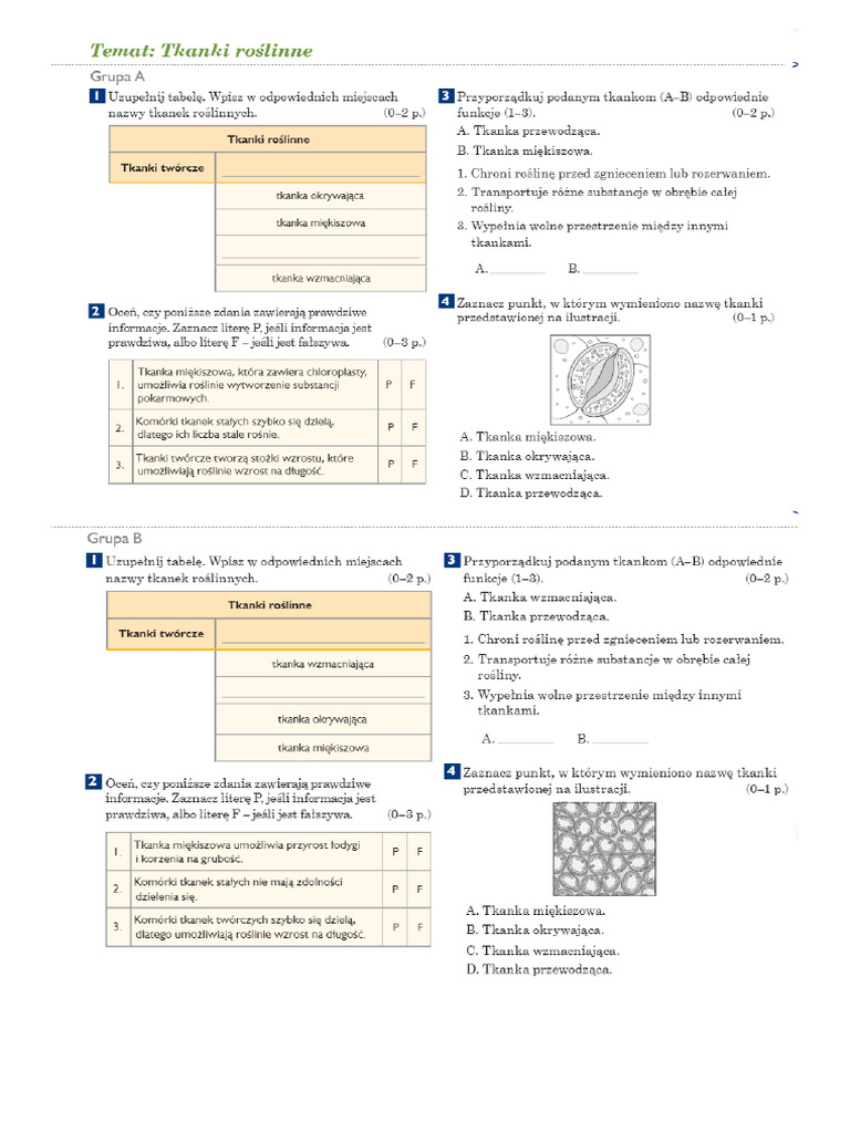 Tkanki Roślinne Test Klasa 5 Test IV Tkanki I Organy Roślinne | PDF